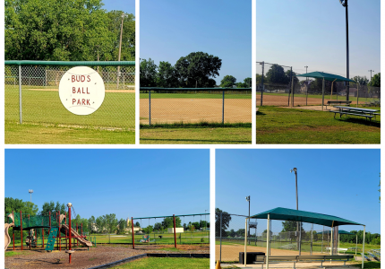 Bud's Ball Park