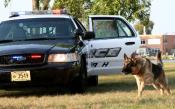 Retired K-9 next to a police car