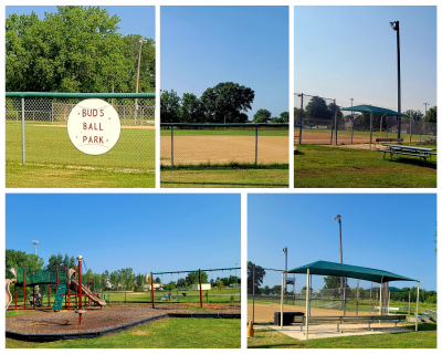 Bud's Ball Park