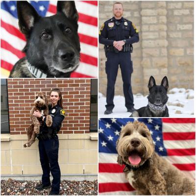 Collage of Tomah K9's