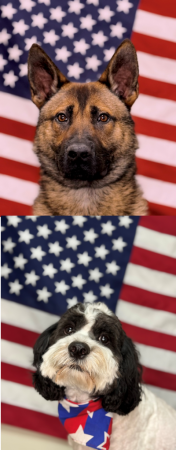 K-9 Ranger and K-9 Roscoe