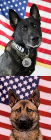 K-9 Viktor and K-9 Ranger